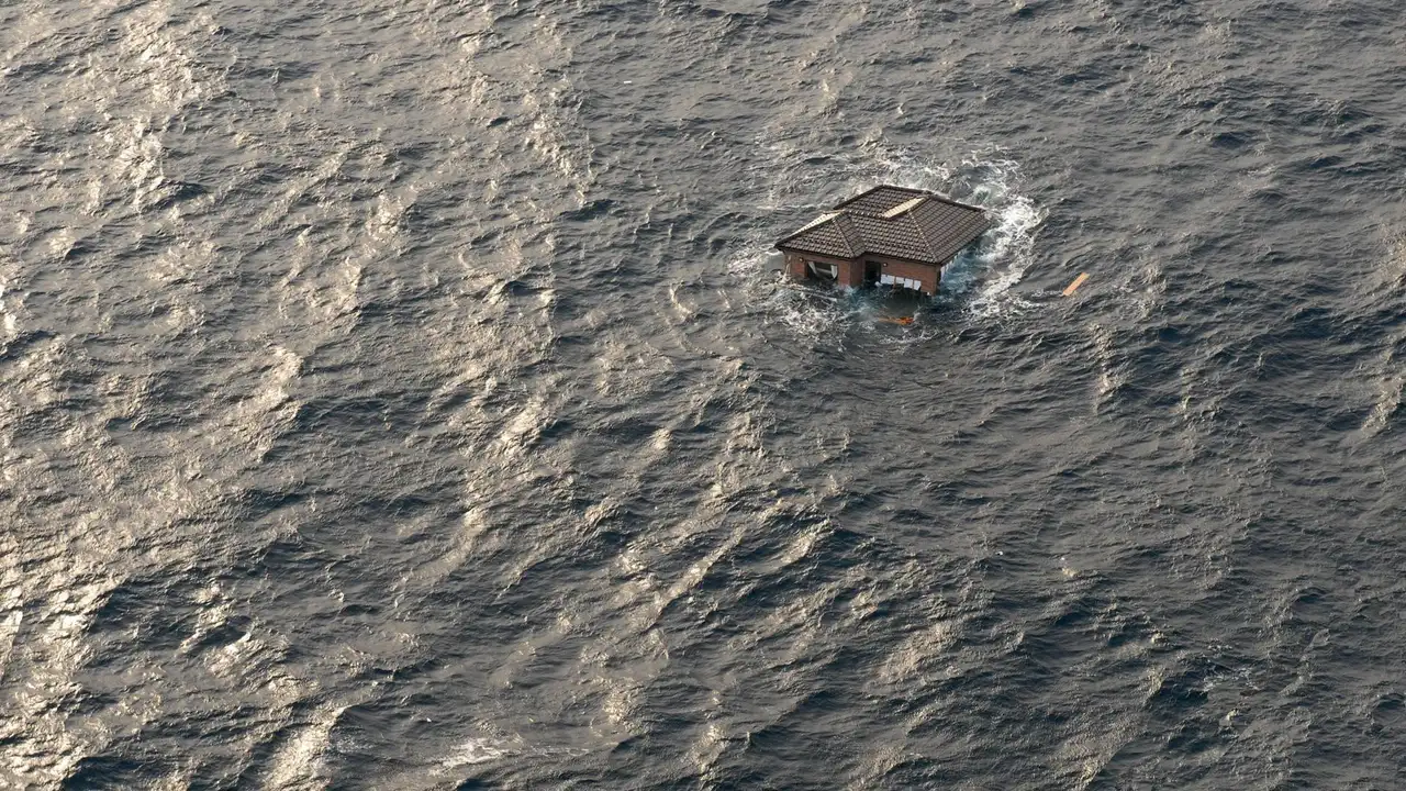 Surviving the Tsunami