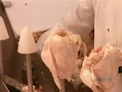 Electric Baseboard Heaters, Moulded Pulp Containers, Chicken, Video Games