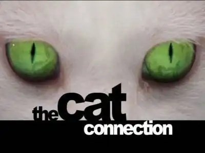 The Cat Connection