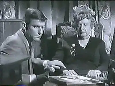 The Gentleman Caller