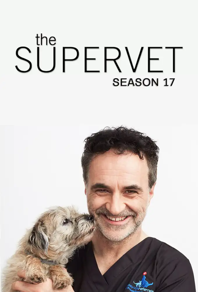 Season 17