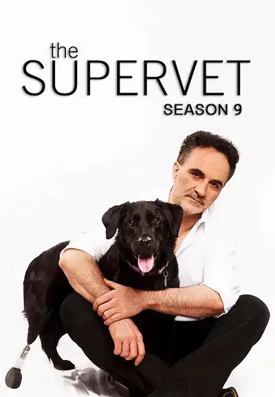 Season 9