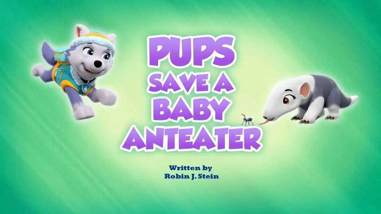 Pups Save a Baby Anteater