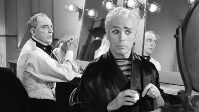 The Unknown Chaplin (3)