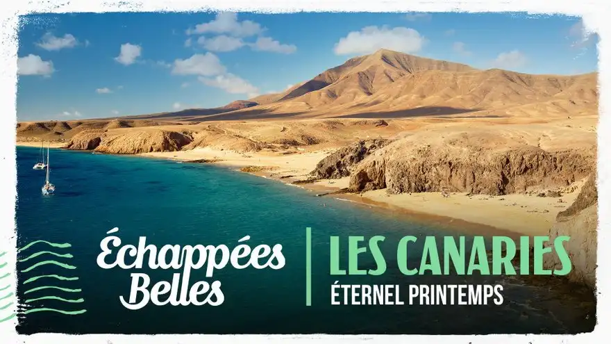 Les Canaries, éternel printemps