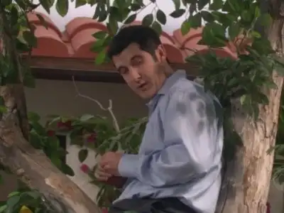 Tree Hugger