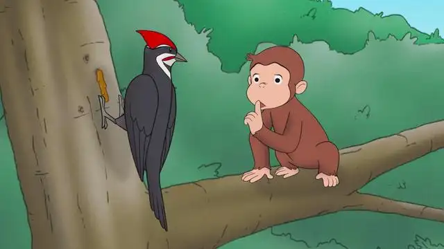 George's Noisy New Neighbor