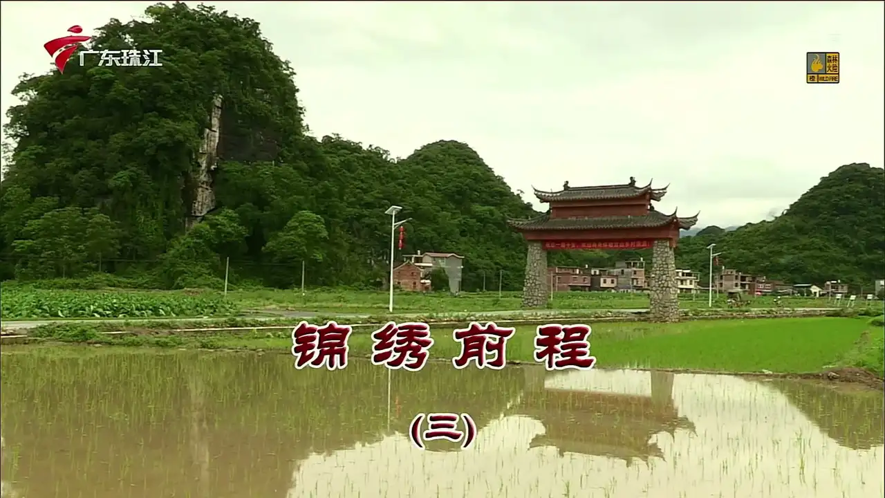 Episode 3431