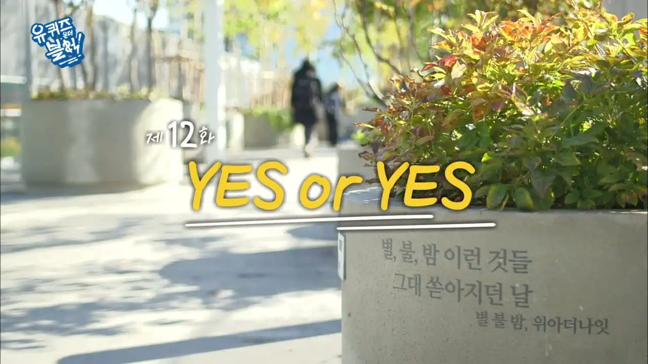 Yes Or Yes