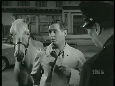 My Horse, the Mailman