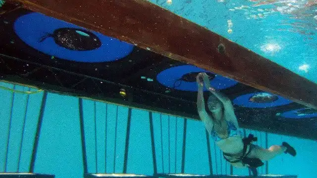 Come Dive With Me