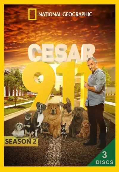 Season 2