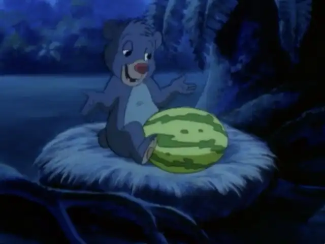 The Curse Of The Magnificient Melon