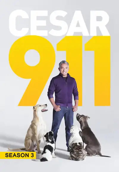 Season 3