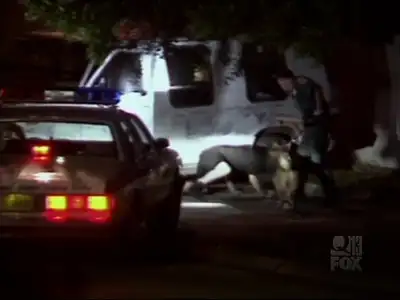 COPS - Tampa, Florida