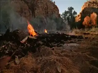 Episode 14