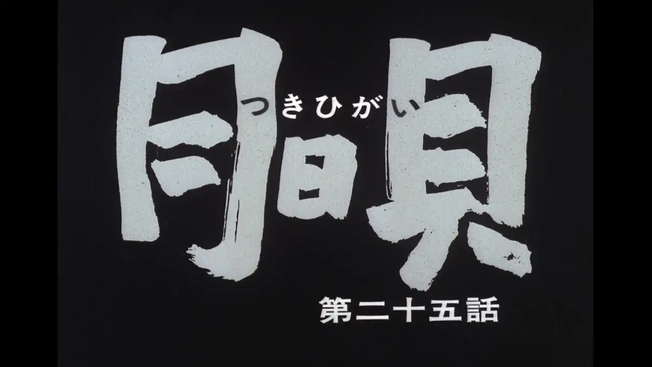 Episode 25