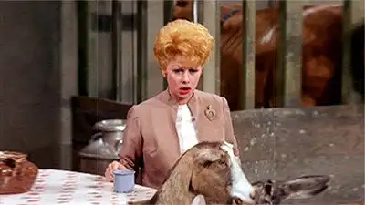 Lucy Discovers Wayne Newton