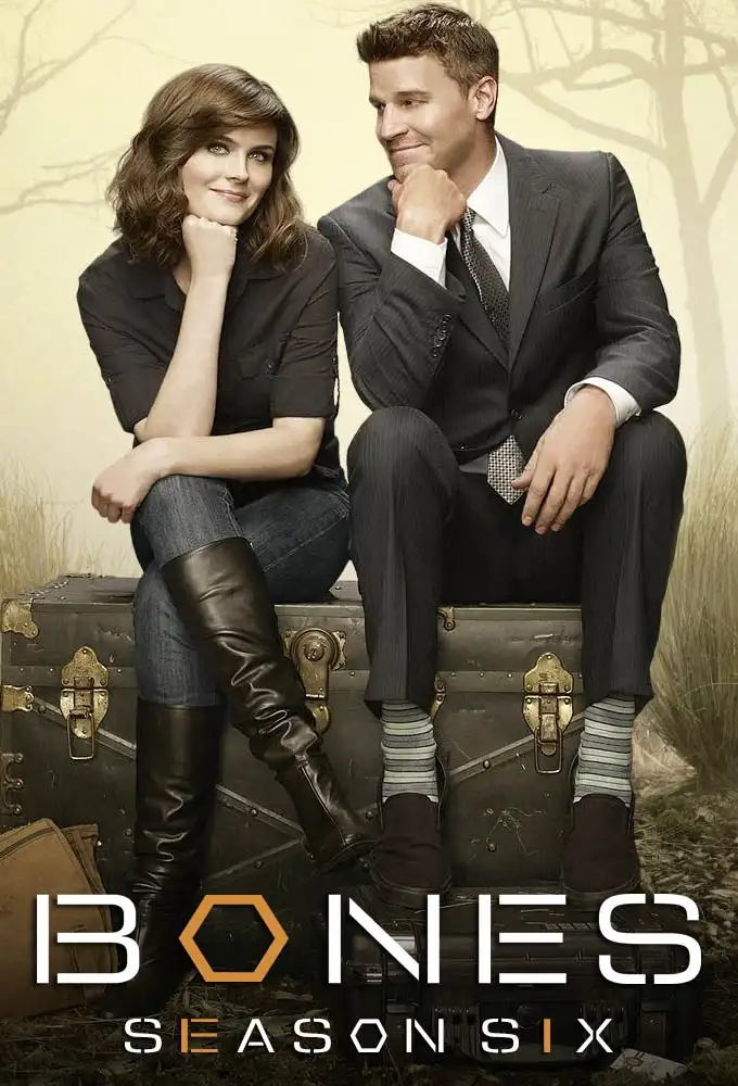 Season 6