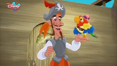 Captain Quixote