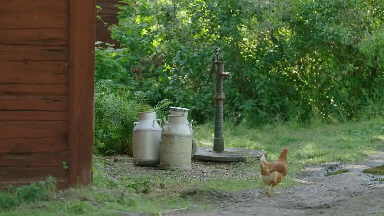 Episode 19