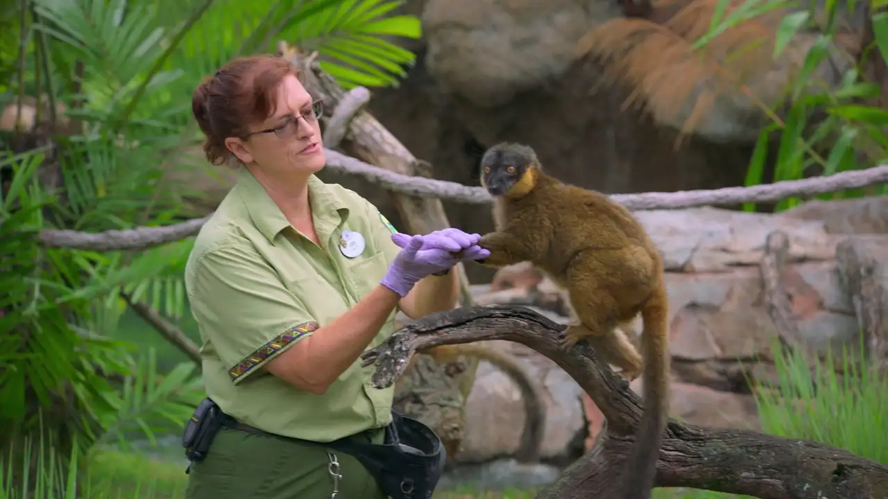 Kris Becker: Animal Keeper
