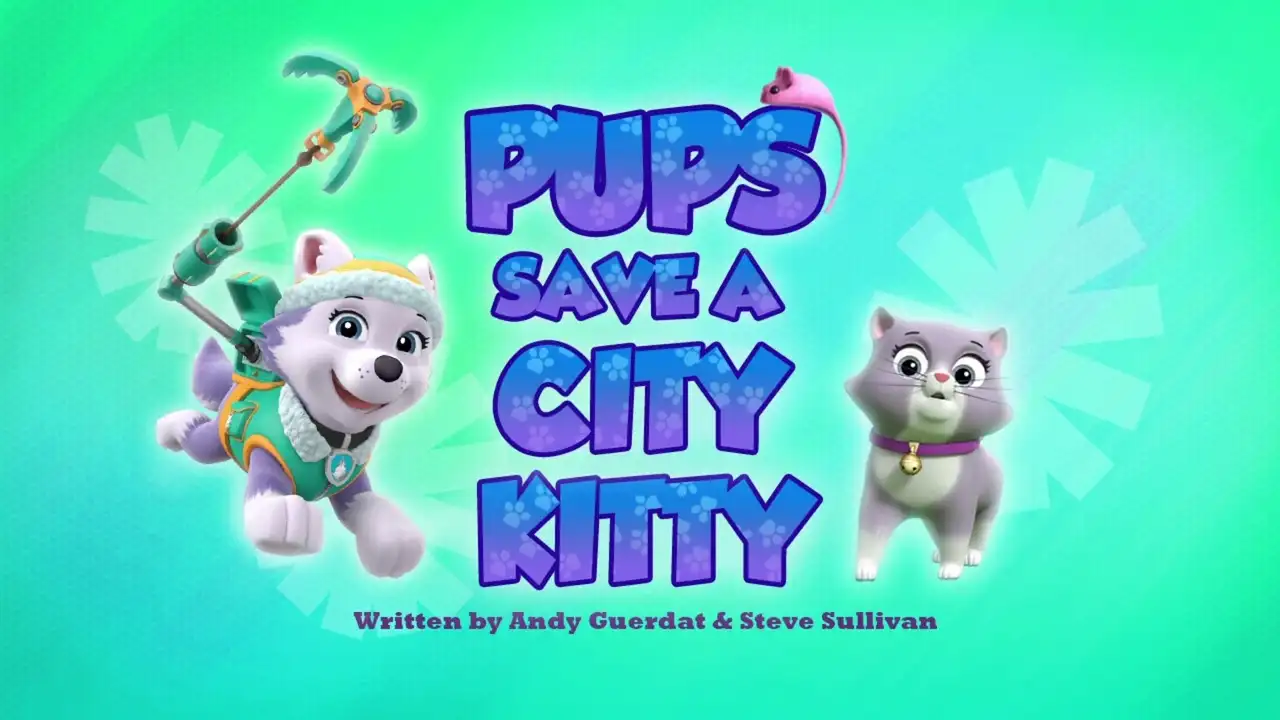 Pups Save a City Kitty