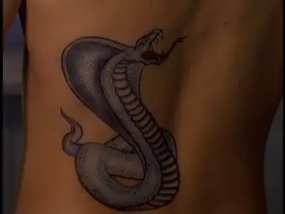Curse of the Cobra