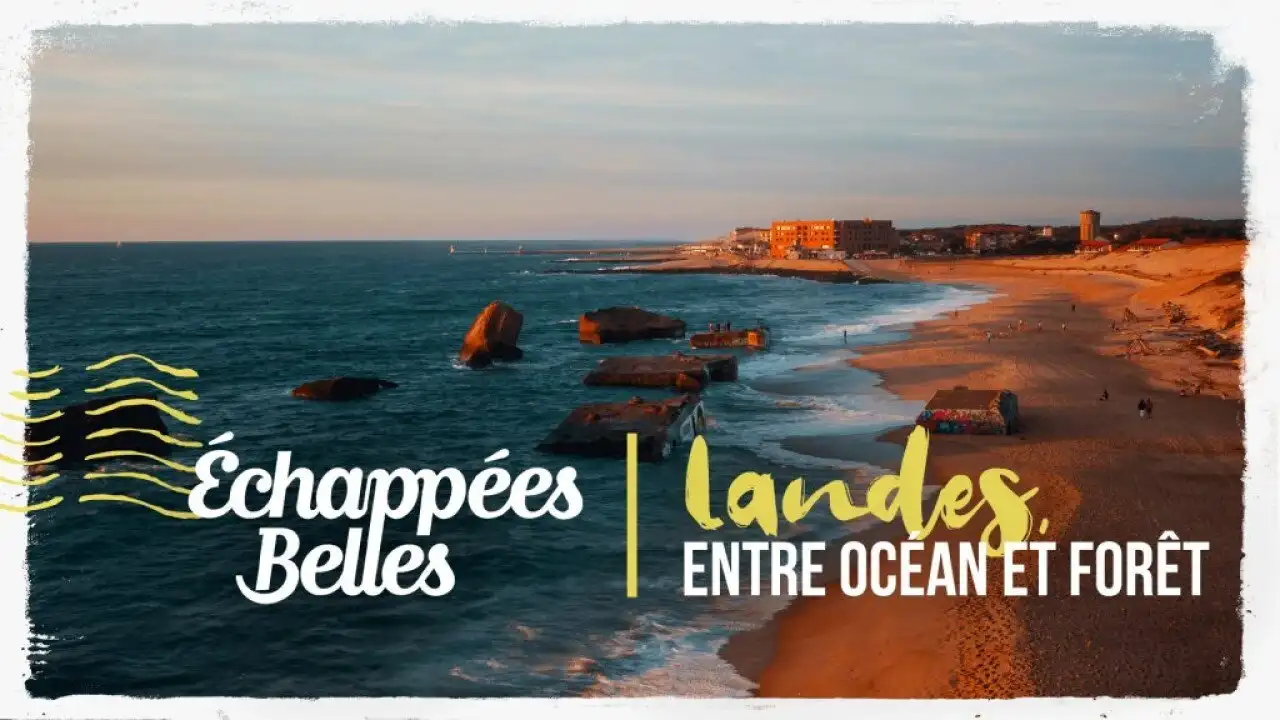 Landes, entre océan et forêt