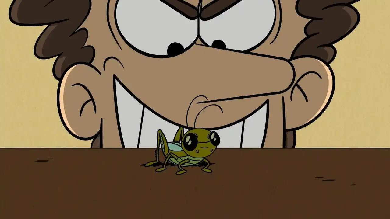 A Bug’s Strife