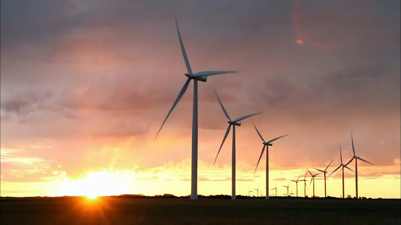 Indy Steering Wheels, Mixed Salad, Wind Turbines