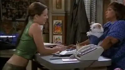 Dog Days
