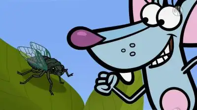 Stop and Hear the Cicadas
