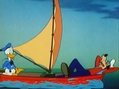No Sail