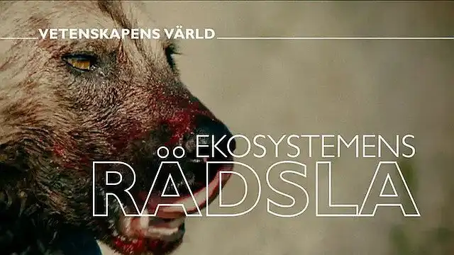 Ekosystemens rädsla