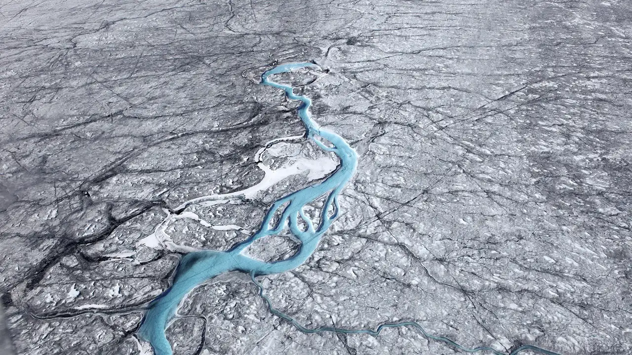 The Making of Frozen Planet II
