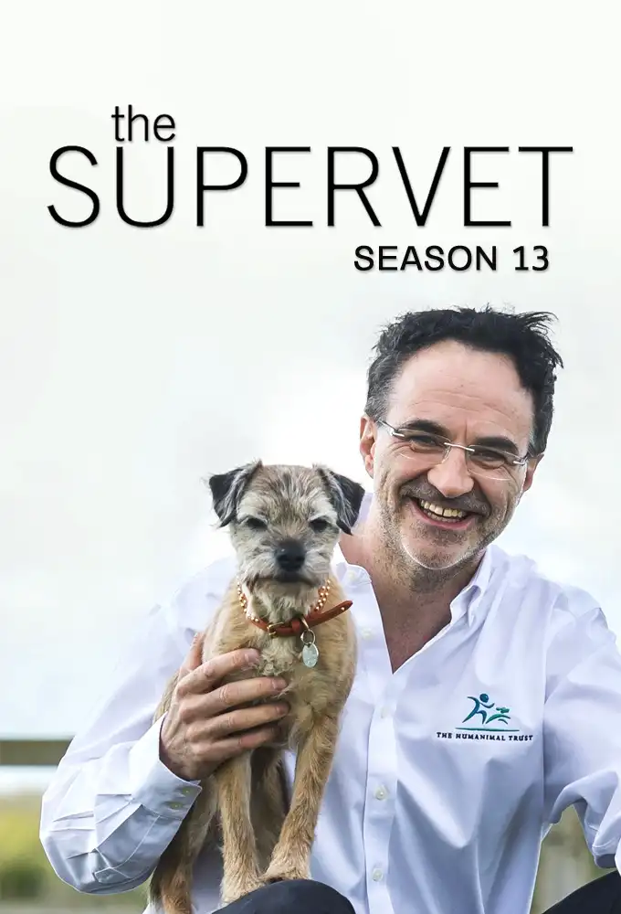 Season 13