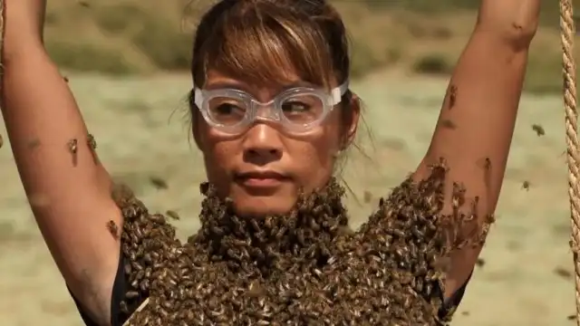 The Bees Are So Angry