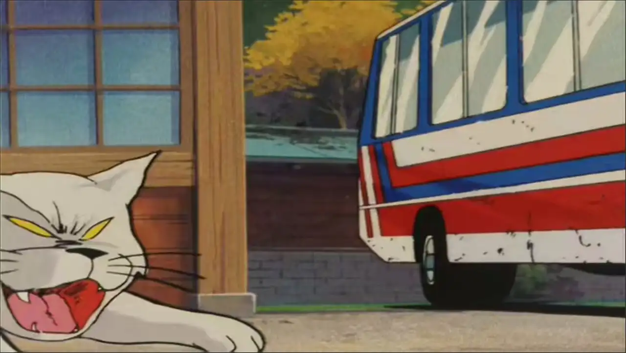 The Cat Wizard