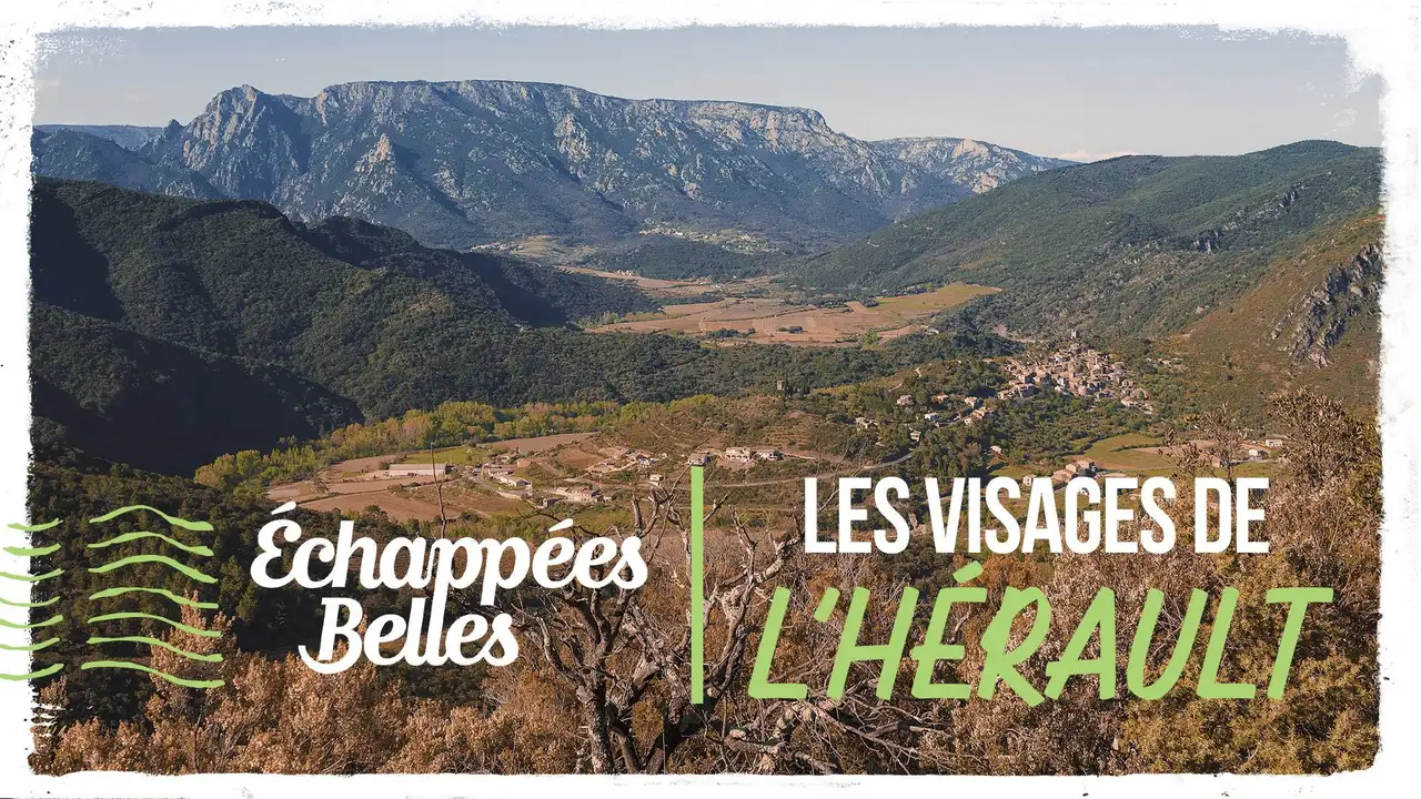 Les visages de l'Hérault
