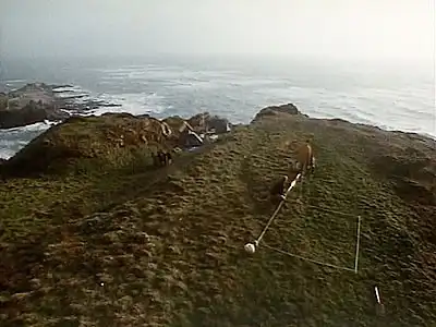 The Dig