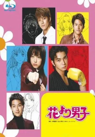 BOYS OVER FLOWERS