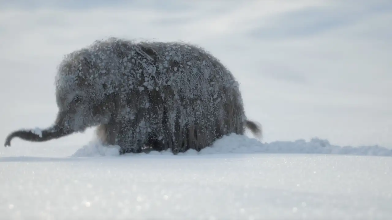 The Big Freeze