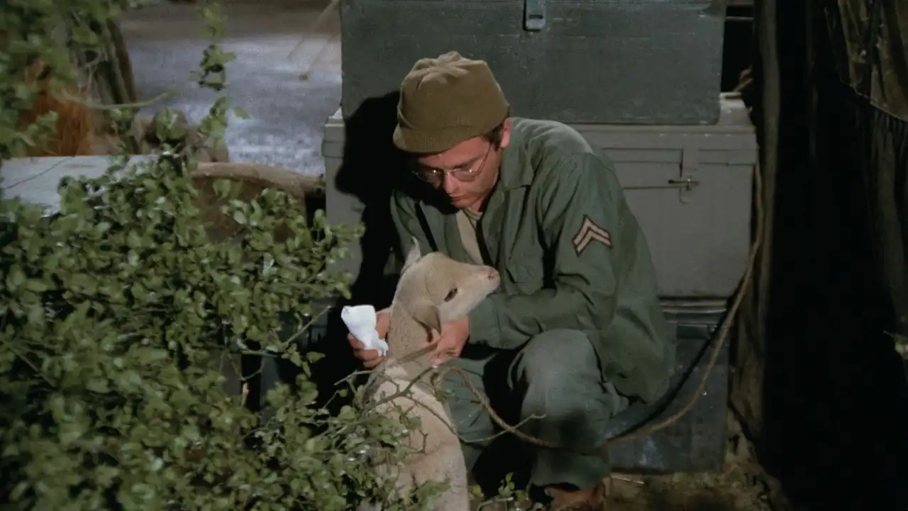 Private Charles Lamb
