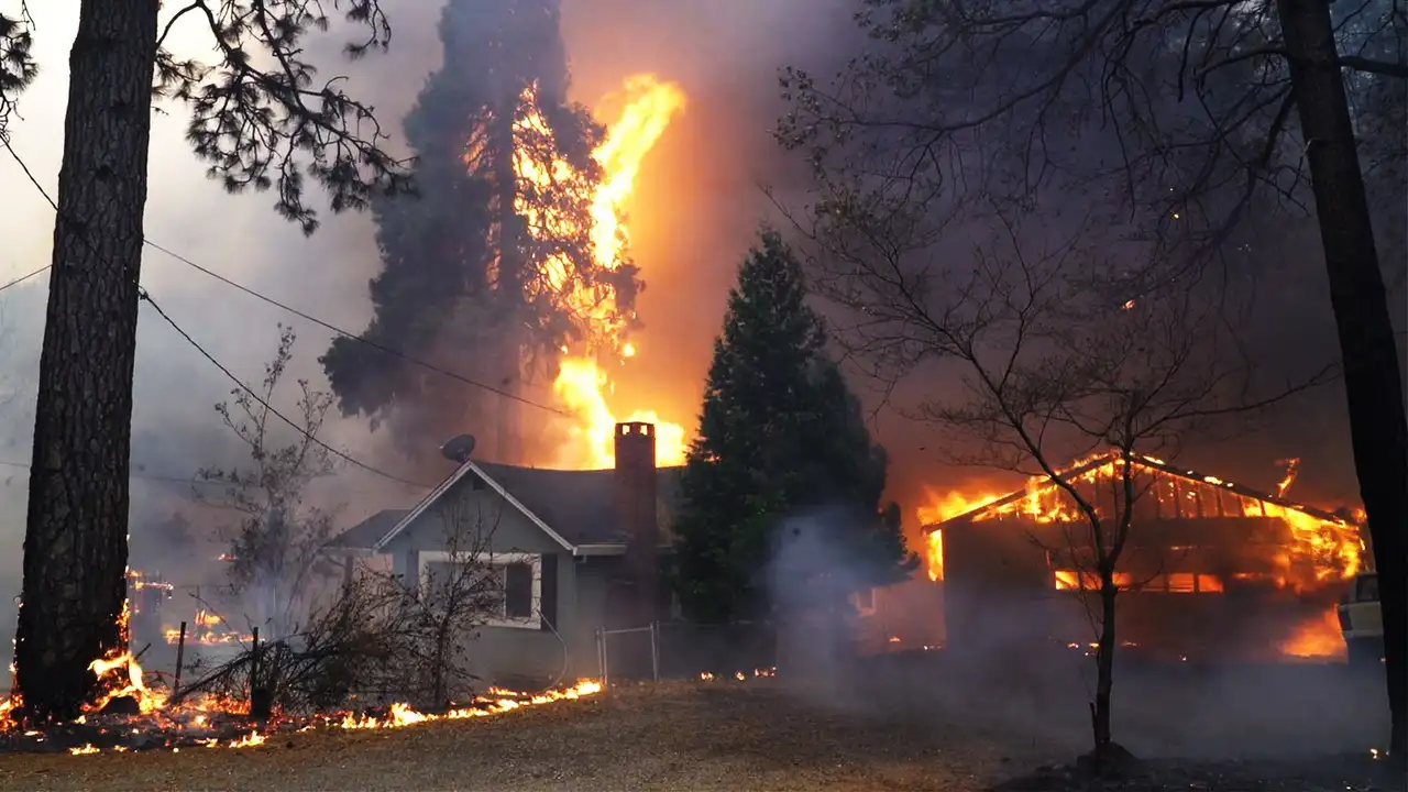Inside the Megafire