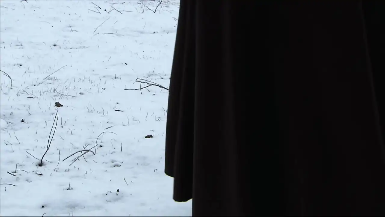 Episode 7