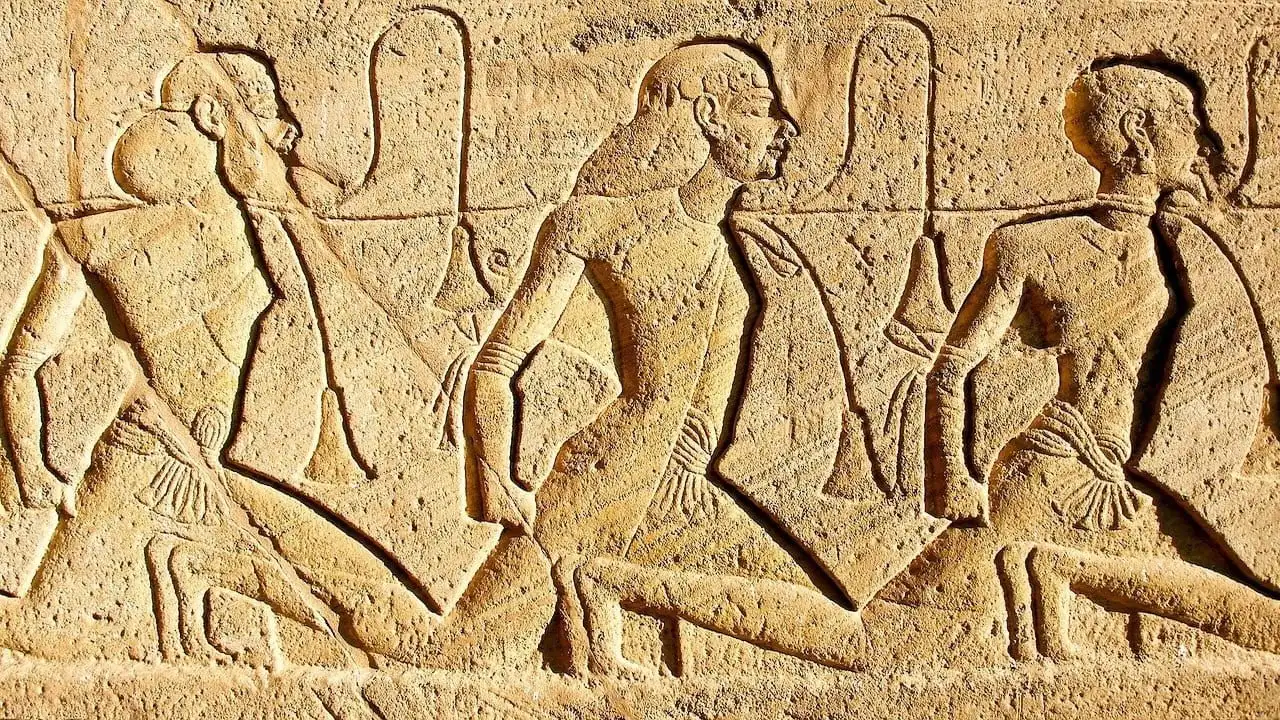 The Long Journey of Ramesses