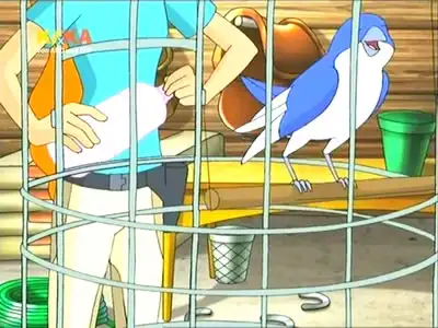Bluebird of Happiness