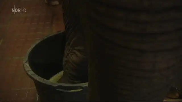 Episode 13