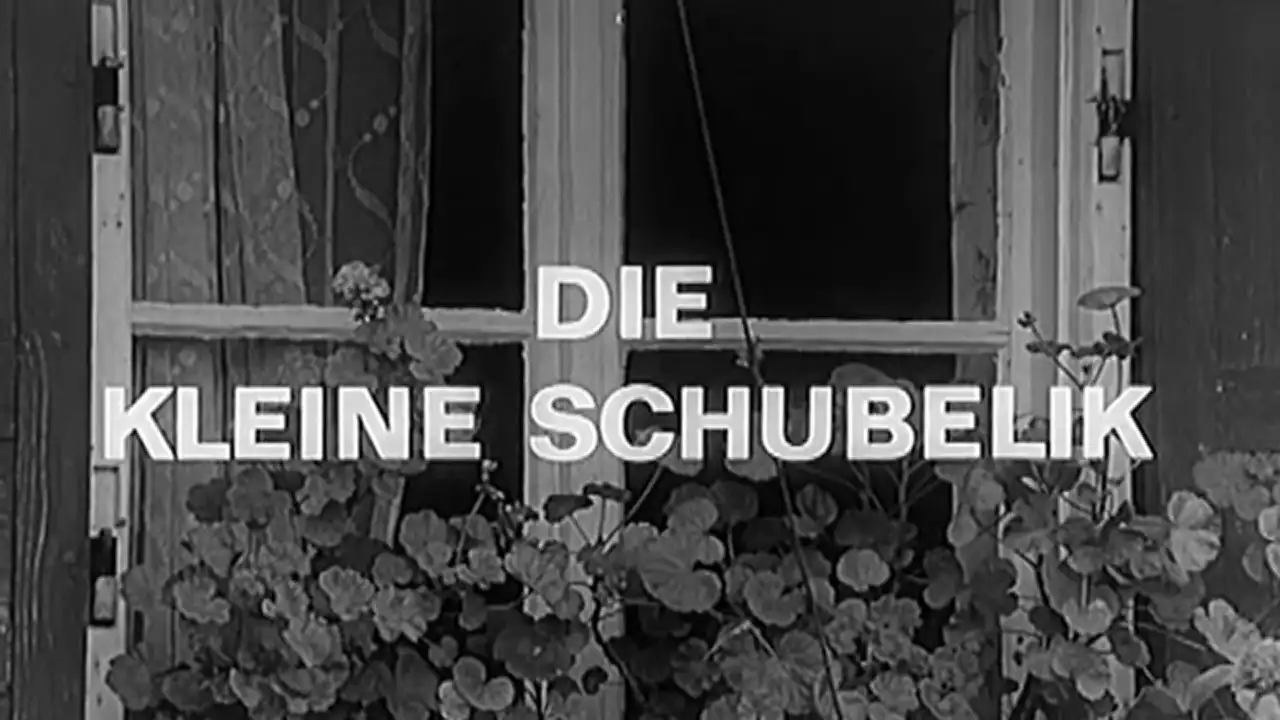 Die kleine Schubelik